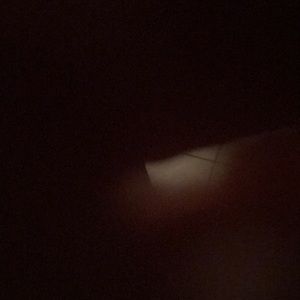 Meet your Posher, ivy